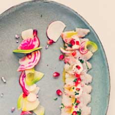 illustration-recette-dorade recette dorade ceviche