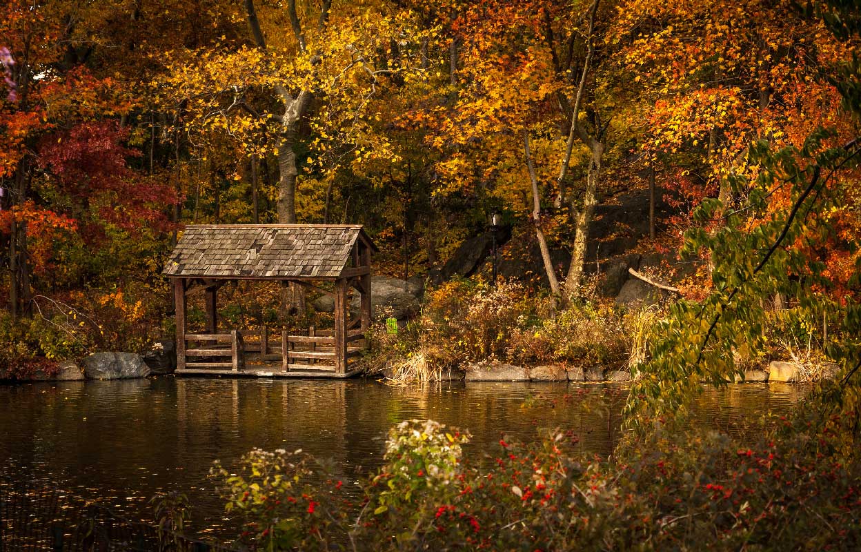 Automne1