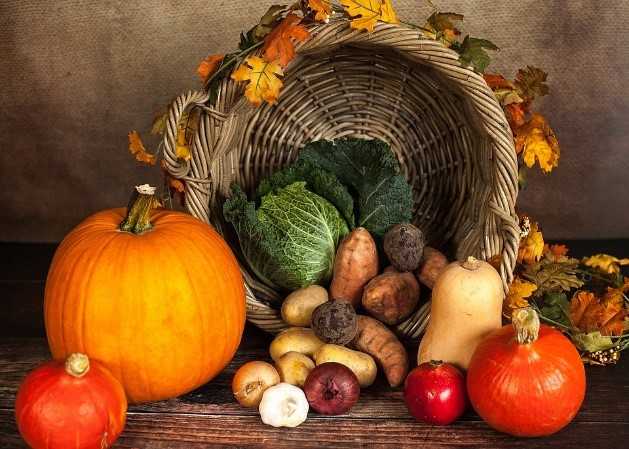 1 Photo Automne