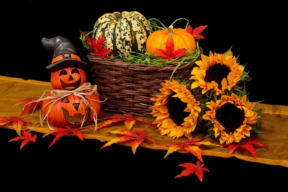 Photo 3 Article Halloween (1)
