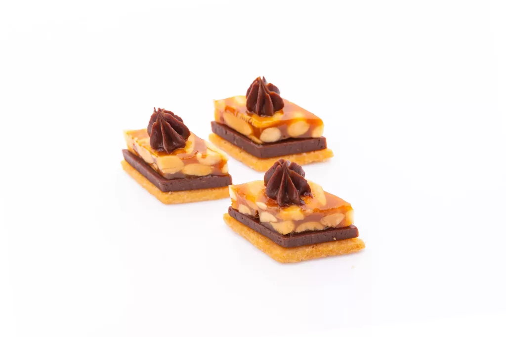 Alliance Praliné Cacahuète et Chocolat Noir sur Sablé Breton