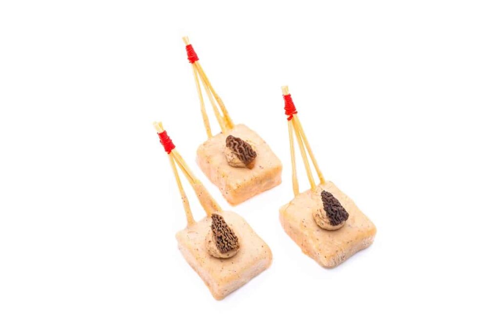 Pic de Suprême de Poulet aux Morilles